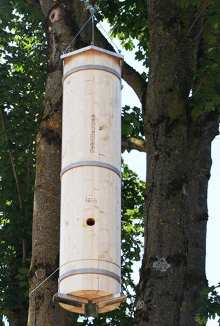 Am Baum